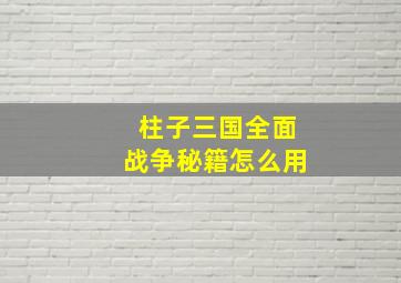 柱子三国全面战争秘籍怎么用