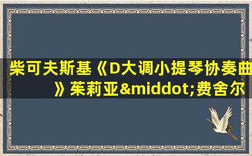 柴可夫斯基《D大调小提琴协奏曲》茱莉亚·费舍尔演奏