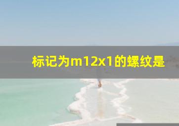 标记为m12x1的螺纹是