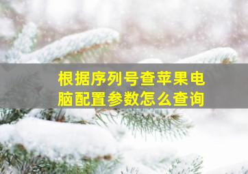 根据序列号查苹果电脑配置参数怎么查询