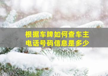 根据车牌如何查车主电话号码信息是多少