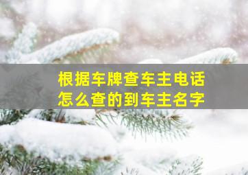 根据车牌查车主电话怎么查的到车主名字