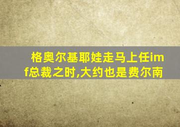 格奥尔基耶娃走马上任imf总裁之时,大约也是费尔南