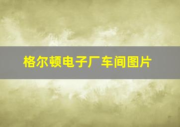 格尔顿电子厂车间图片