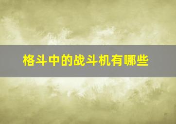 格斗中的战斗机有哪些