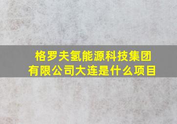 格罗夫氢能源科技集团有限公司大连是什么项目