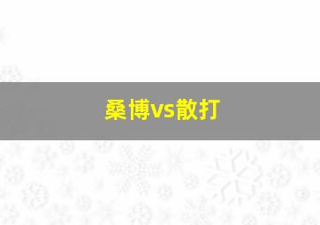 桑博vs散打