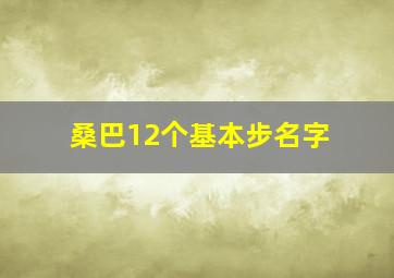 桑巴12个基本步名字