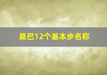 桑巴12个基本步名称