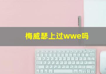 梅威瑟上过wwe吗