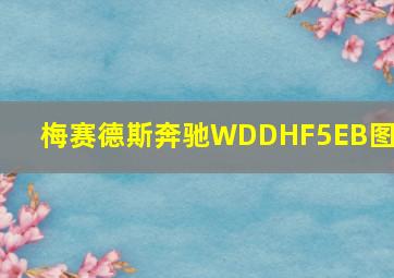 梅赛德斯奔驰WDDHF5EB图片