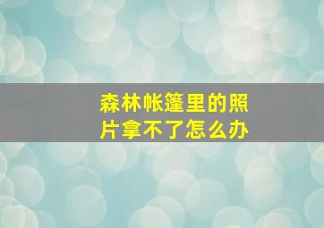 森林帐篷里的照片拿不了怎么办