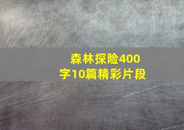 森林探险400字10篇精彩片段