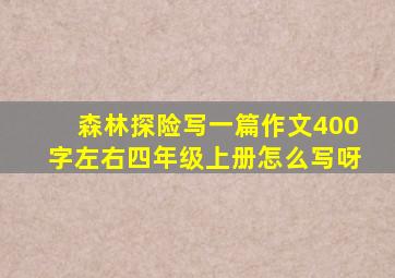 森林探险写一篇作文400字左右四年级上册怎么写呀