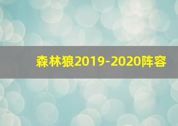 森林狼2019-2020阵容