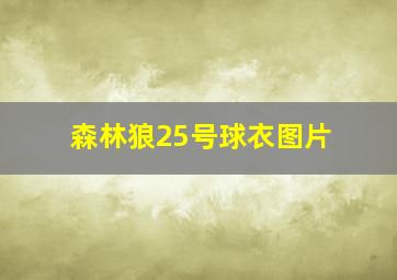 森林狼25号球衣图片