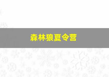 森林狼夏令营