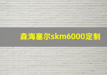 森海塞尔skm6000定制