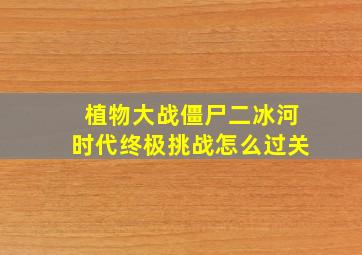 植物大战僵尸二冰河时代终极挑战怎么过关