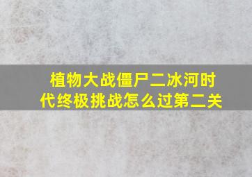 植物大战僵尸二冰河时代终极挑战怎么过第二关