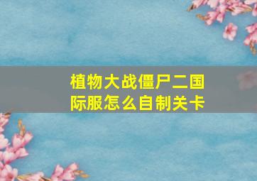 植物大战僵尸二国际服怎么自制关卡