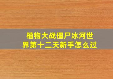 植物大战僵尸冰河世界第十二天新手怎么过