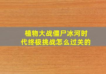 植物大战僵尸冰河时代终极挑战怎么过关的