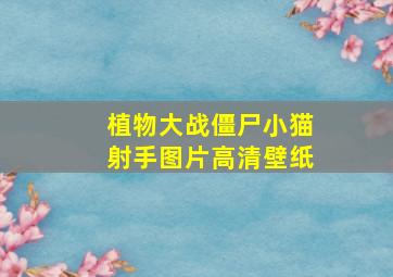 植物大战僵尸小猫射手图片高清壁纸