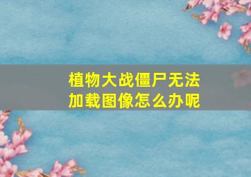 植物大战僵尸无法加载图像怎么办呢