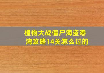 植物大战僵尸海盗港湾攻略14关怎么过的