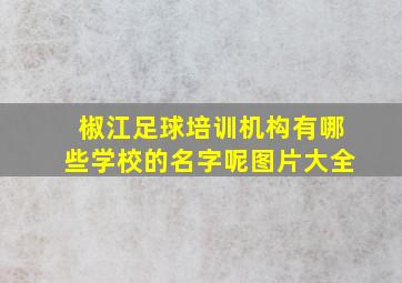 椒江足球培训机构有哪些学校的名字呢图片大全