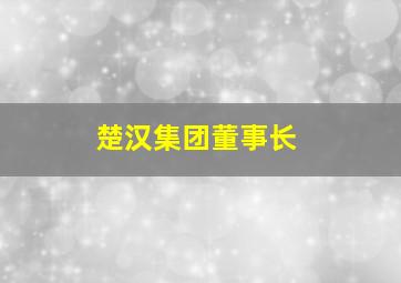 楚汉集团董事长