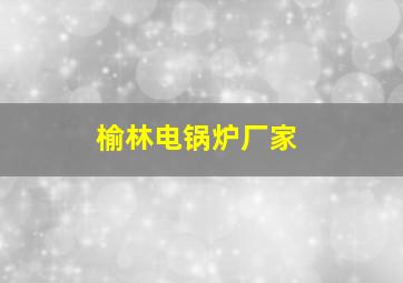 榆林电锅炉厂家