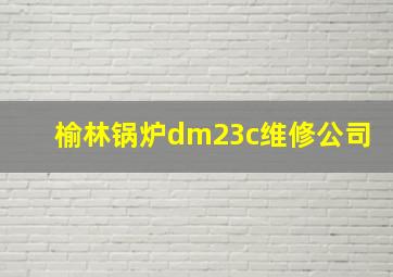 榆林锅炉dm23c维修公司