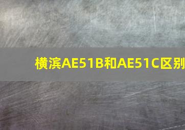 横滨AE51B和AE51C区别