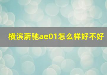 横滨蔚驰ae01怎么样好不好