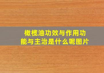 橄榄油功效与作用功能与主治是什么呢图片