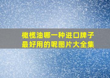 橄榄油哪一种进口牌子最好用的呢图片大全集