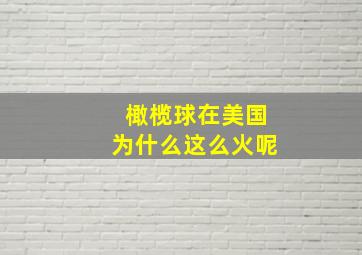 橄榄球在美国为什么这么火呢