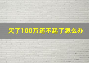 欠了100万还不起了怎么办