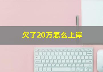 欠了20万怎么上岸