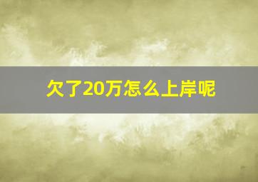 欠了20万怎么上岸呢