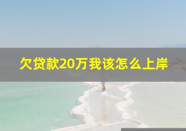 欠贷款20万我该怎么上岸