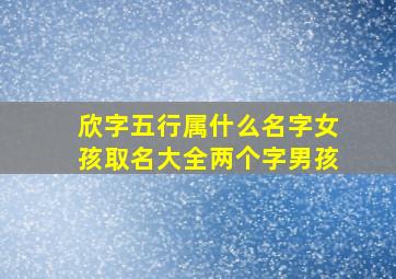 欣字五行属什么名字女孩取名大全两个字男孩