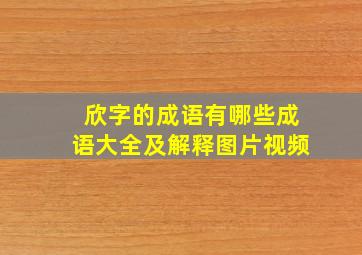 欣字的成语有哪些成语大全及解释图片视频