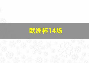 欧洲杯14场