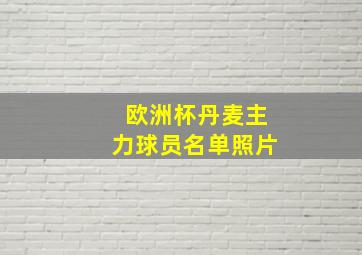 欧洲杯丹麦主力球员名单照片