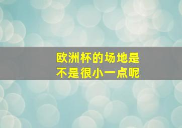 欧洲杯的场地是不是很小一点呢