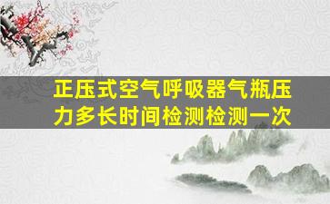 正压式空气呼吸器气瓶压力多长时间检测检测一次