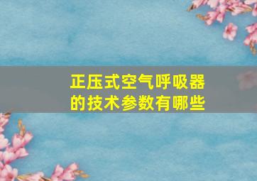 正压式空气呼吸器的技术参数有哪些